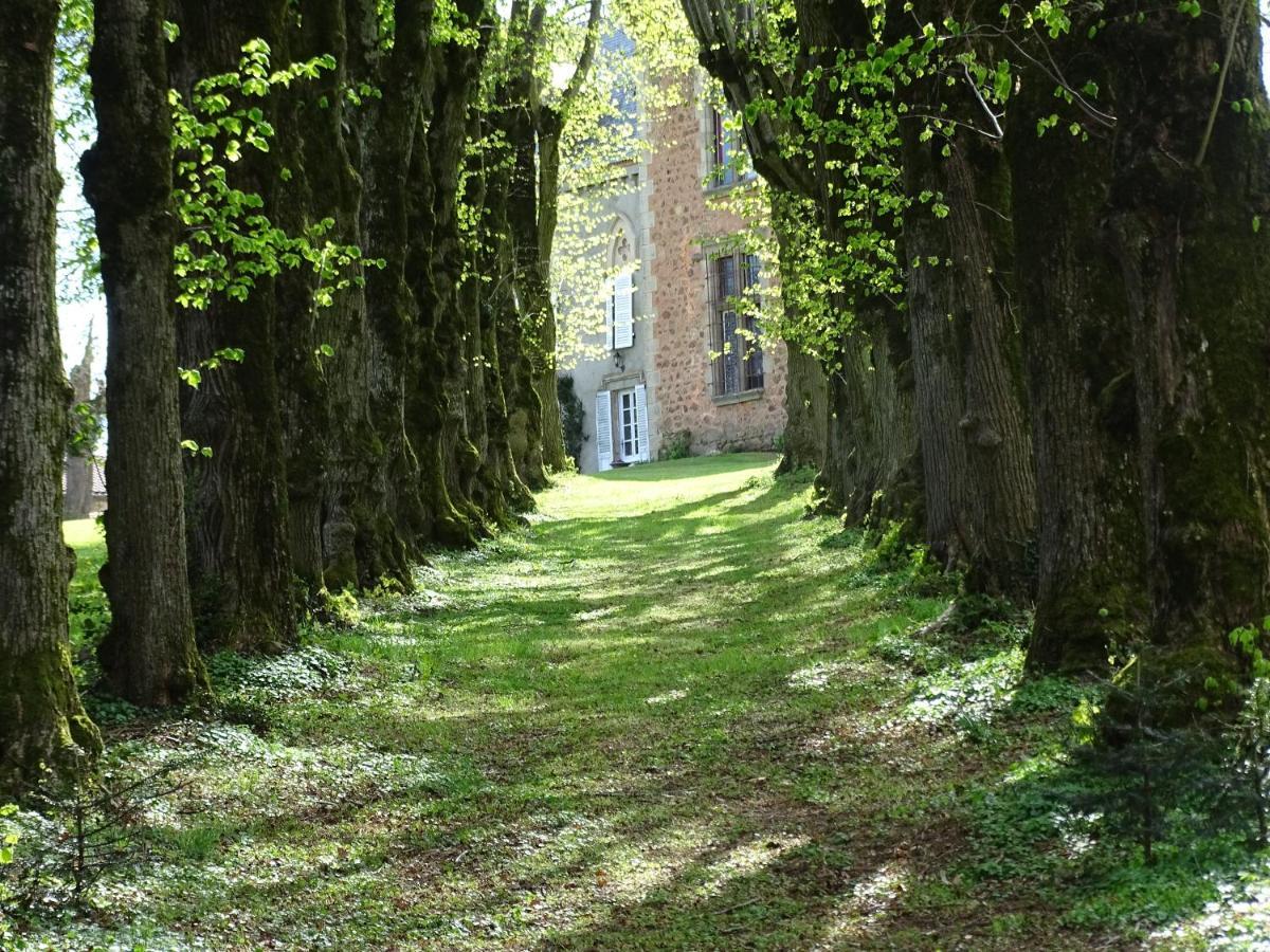 Chateau De La Forie Bed & Breakfast Saint-Etienne-sur-Usson